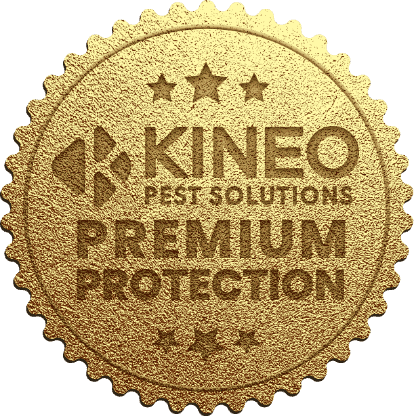 kineo badge